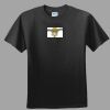 Softstyle™ Junior Fit T Shirt Thumbnail