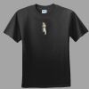 Softstyle™ Junior Fit T Shirt Thumbnail