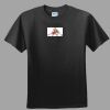 Softstyle™ Junior Fit T Shirt Thumbnail
