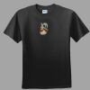 Softstyle™ Junior Fit T Shirt Thumbnail