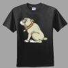 Softstyle™ Junior Fit T Shirt Thumbnail