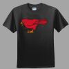 Softstyle™ Junior Fit T Shirt Thumbnail