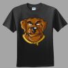 Softstyle™ Junior Fit T Shirt Thumbnail