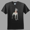 Softstyle™ Junior Fit T Shirt Thumbnail