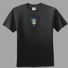 Softstyle™ Junior Fit T Shirt Thumbnail