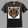 Softstyle™ Junior Fit T Shirt Thumbnail