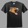 Softstyle™ Junior Fit T Shirt Thumbnail