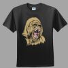 Softstyle™ Junior Fit T Shirt Thumbnail