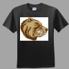 Softstyle™ Junior Fit T Shirt Thumbnail