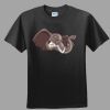 Softstyle™ Junior Fit T Shirt Thumbnail