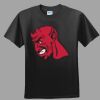 Softstyle™ Junior Fit T Shirt Thumbnail