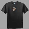 Softstyle™ Junior Fit T Shirt Thumbnail