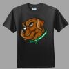 Softstyle™ Junior Fit T Shirt Thumbnail