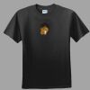 Softstyle™ Junior Fit T Shirt Thumbnail