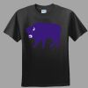 Softstyle™ Junior Fit T Shirt Thumbnail