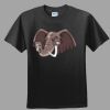 Softstyle™ Junior Fit T Shirt Thumbnail