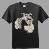 Softstyle™ Junior Fit T Shirt Thumbnail