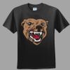 Softstyle™ Junior Fit T Shirt Thumbnail