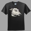 Softstyle™ Junior Fit T Shirt Thumbnail