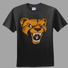 Softstyle™ Junior Fit T Shirt Thumbnail
