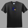 Softstyle™ Junior Fit T Shirt Thumbnail