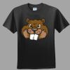 Softstyle™ Junior Fit T Shirt Thumbnail