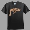 Softstyle™ Junior Fit T Shirt Thumbnail