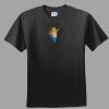 Softstyle™ Junior Fit T Shirt Thumbnail