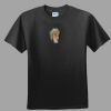 Softstyle™ Junior Fit T Shirt Thumbnail