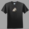 Softstyle™ Junior Fit T Shirt Thumbnail