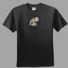 Softstyle™ Junior Fit T Shirt Thumbnail