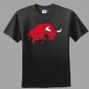 Softstyle™ Junior Fit T Shirt Thumbnail
