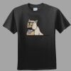 Softstyle™ Junior Fit T Shirt Thumbnail