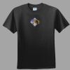 Softstyle™ Junior Fit T Shirt Thumbnail
