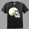 Softstyle™ Junior Fit T Shirt Thumbnail