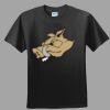 Softstyle™ Junior Fit T Shirt Thumbnail
