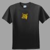 Softstyle™ Junior Fit T Shirt Thumbnail