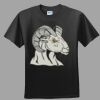 Softstyle™ Junior Fit T Shirt Thumbnail