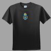 Softstyle™ Junior Fit T Shirt Thumbnail