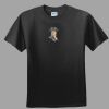 Softstyle™ Junior Fit T Shirt Thumbnail