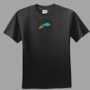 Softstyle™ Junior Fit T Shirt Thumbnail