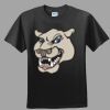 Softstyle™ Junior Fit T Shirt Thumbnail