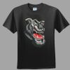 Softstyle™ Junior Fit T Shirt Thumbnail