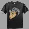 Softstyle™ Junior Fit T Shirt Thumbnail