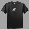 Softstyle™ Junior Fit T Shirt Thumbnail