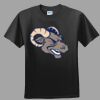 Softstyle™ Junior Fit T Shirt Thumbnail