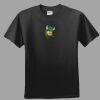 Softstyle™ Junior Fit T Shirt Thumbnail