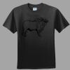 Softstyle™ Junior Fit T Shirt Thumbnail