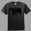 Softstyle™ Junior Fit T Shirt Thumbnail