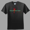 Softstyle™ Junior Fit T Shirt Thumbnail